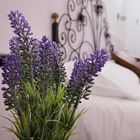 לינה וארוחת בוקר G&g